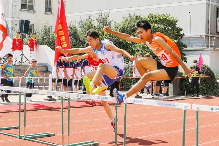 法国百保利网球拍好不好